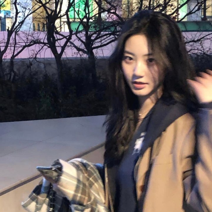 桑树的影子